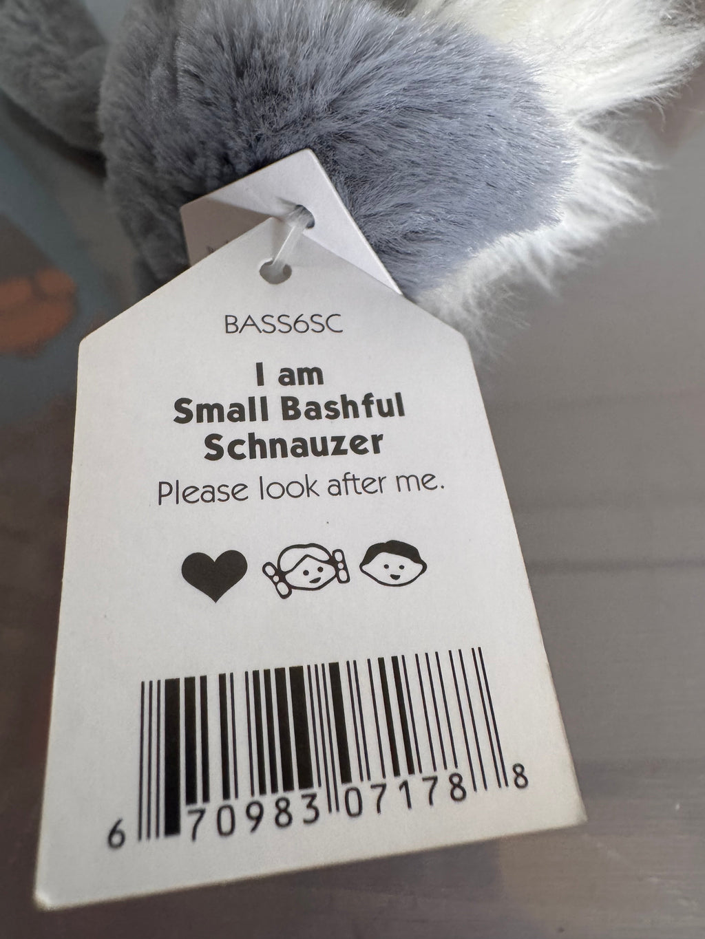 Small Bashful Schnauzer