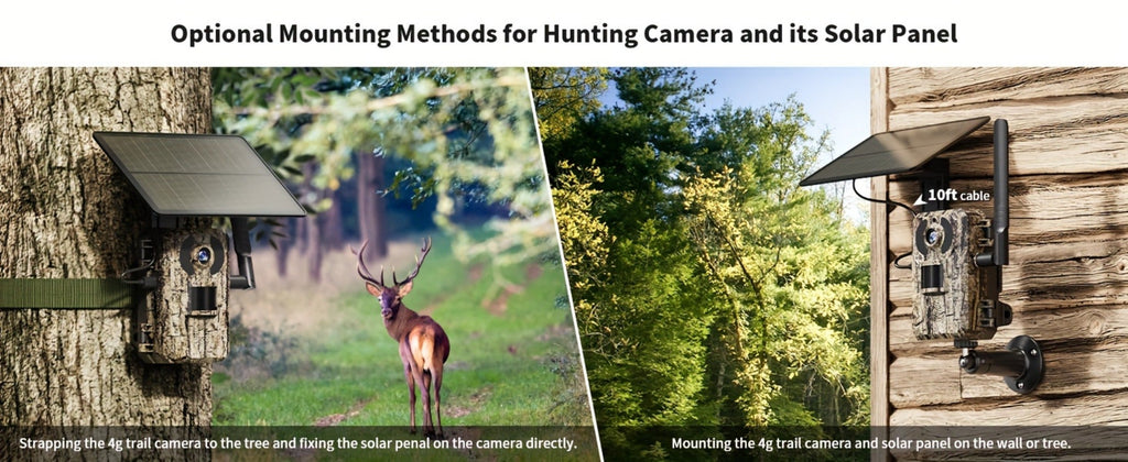 4G LTE Solar Trail Camera with App Alerts, Live View and Built-In SIM in One- to Four-Camera Packs
