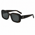 Saint Laurent SL 68 YSL Logo Oversized Square Acetate Sunglasses
