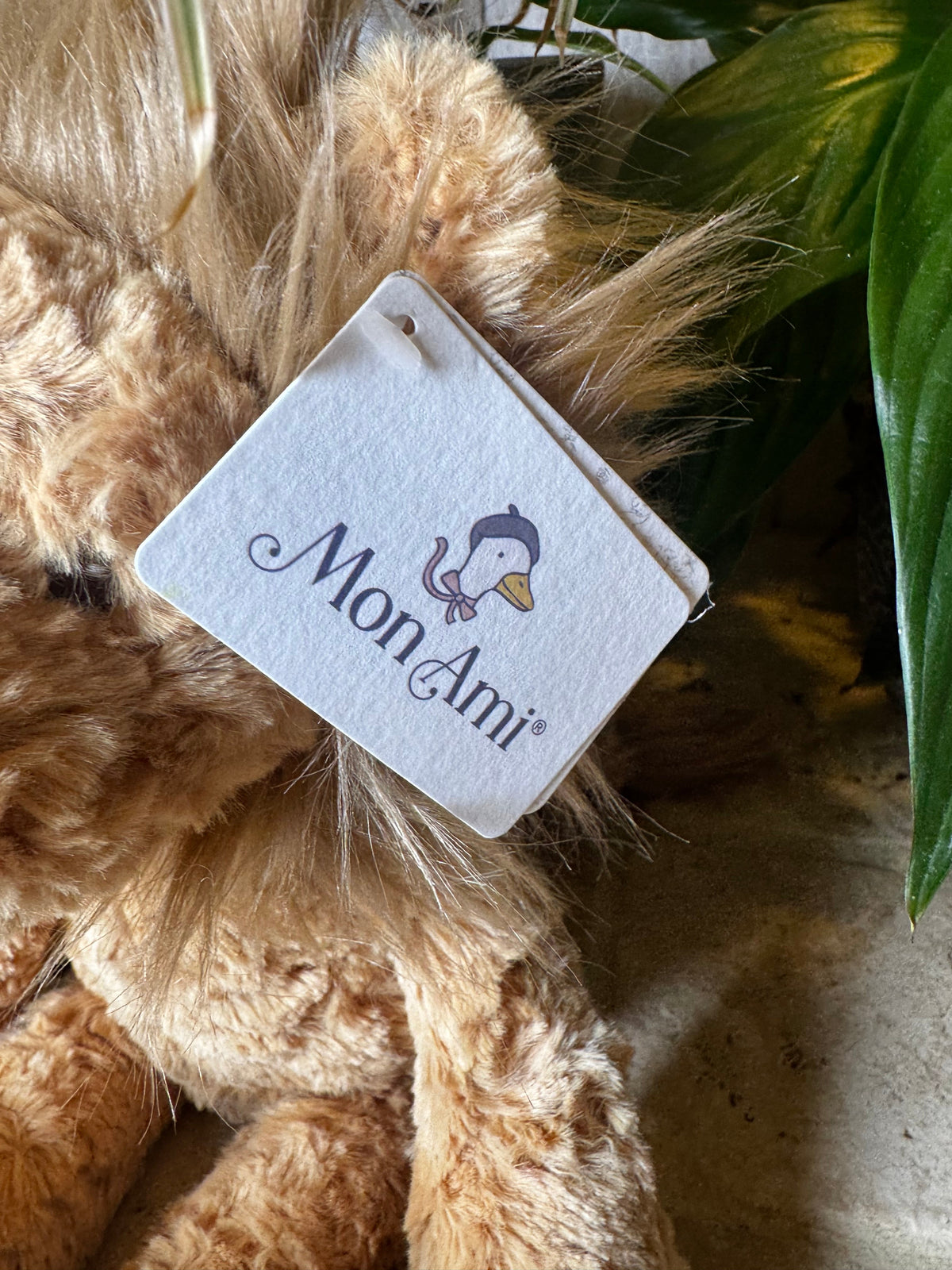 Mon Ami | Lionel Lion
