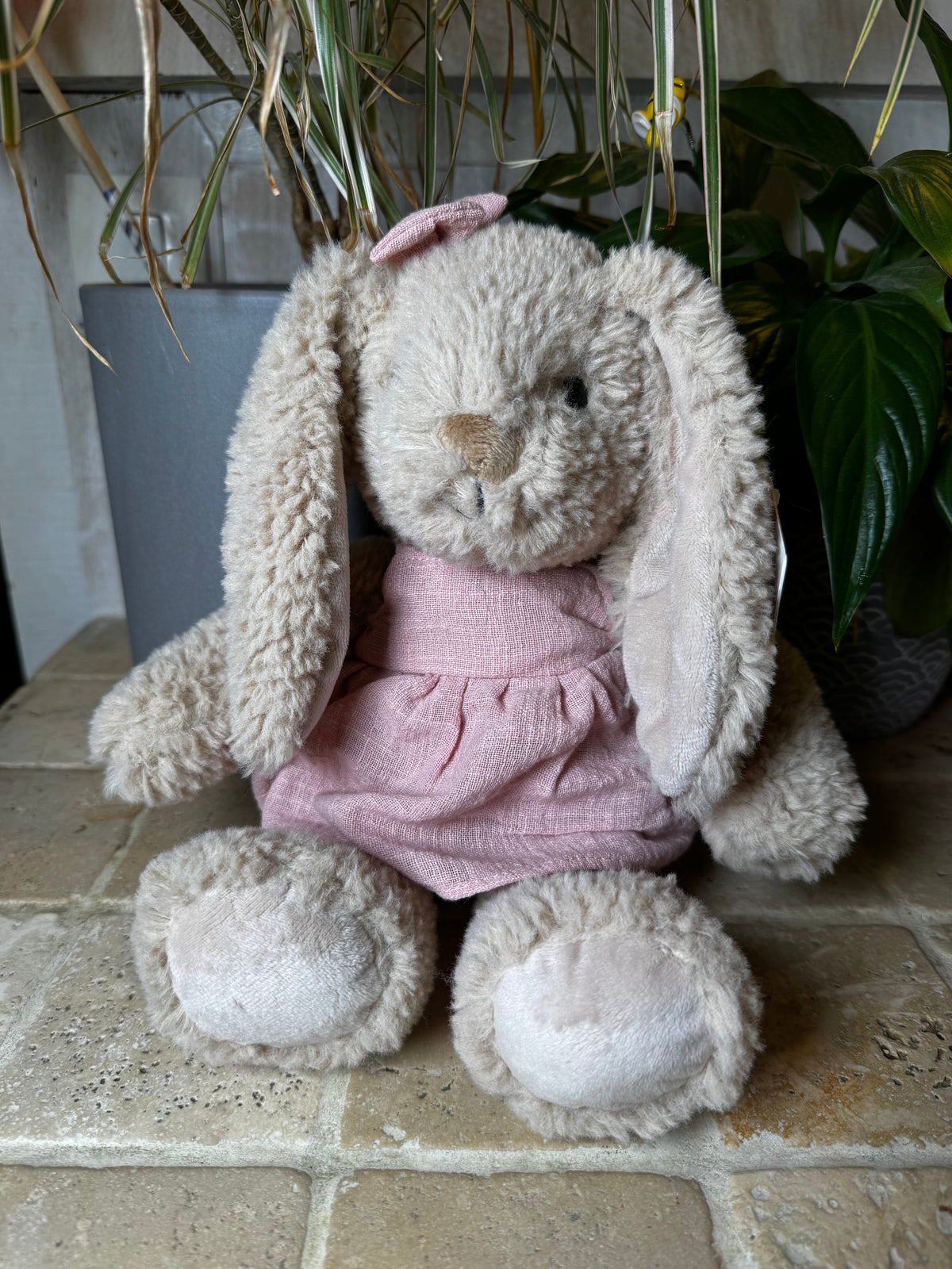 Mon Ami | Bettie Bunny