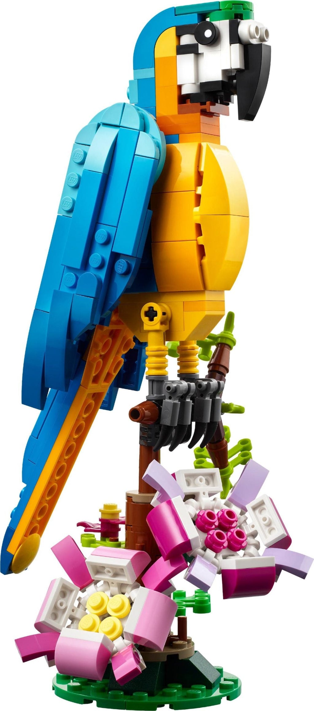 31136 - Lego - LEGO Creator - Perroquet exotique