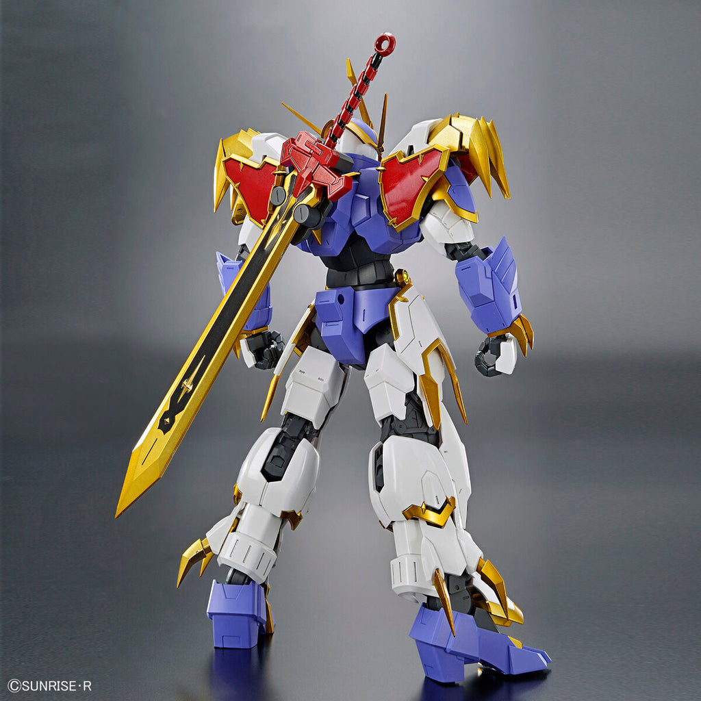 HG Amplified IMGN Ryujinmaru