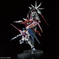 RG + HG "Mobile Suit Gundam SEED" 20th Anniversary MS Set [Metallic]