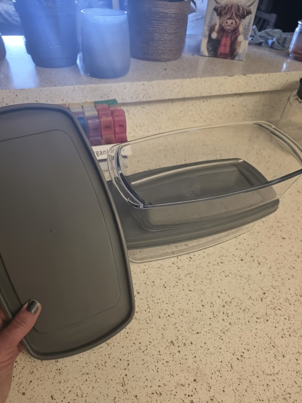 Baking Dish with Handles and Silicone Brush for Baking Bread Cakes