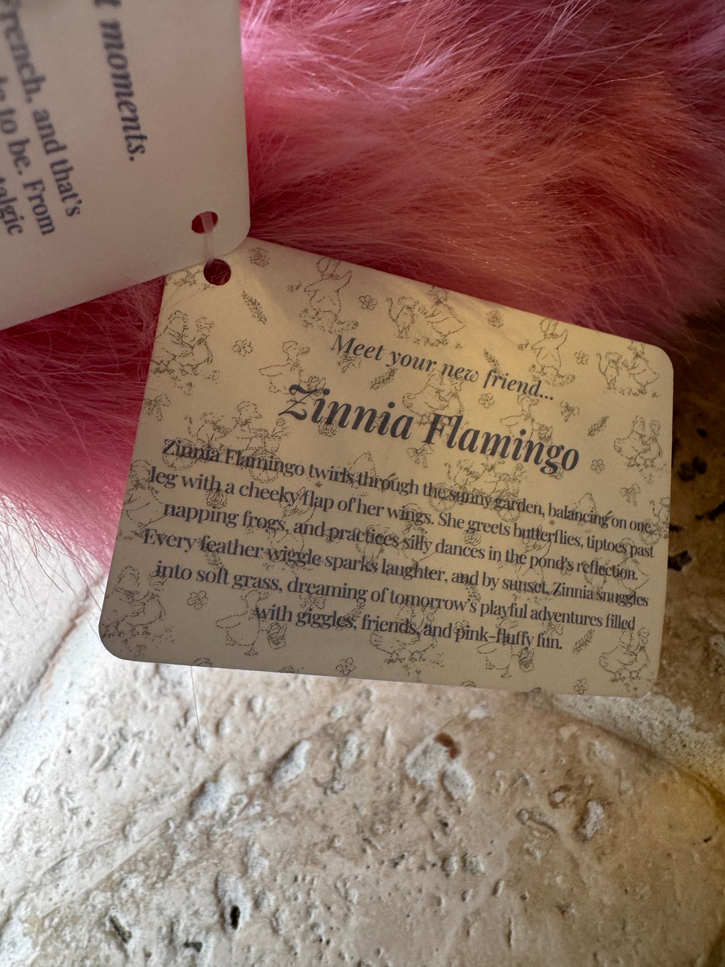 Mon Ami | Zinnia Flamingo