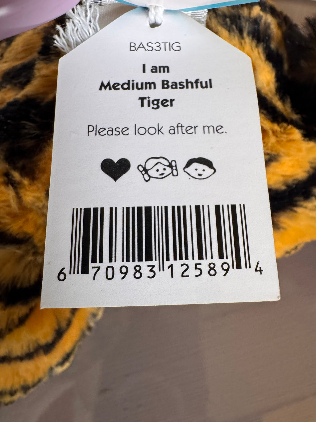 Medium Bashful Tiger
