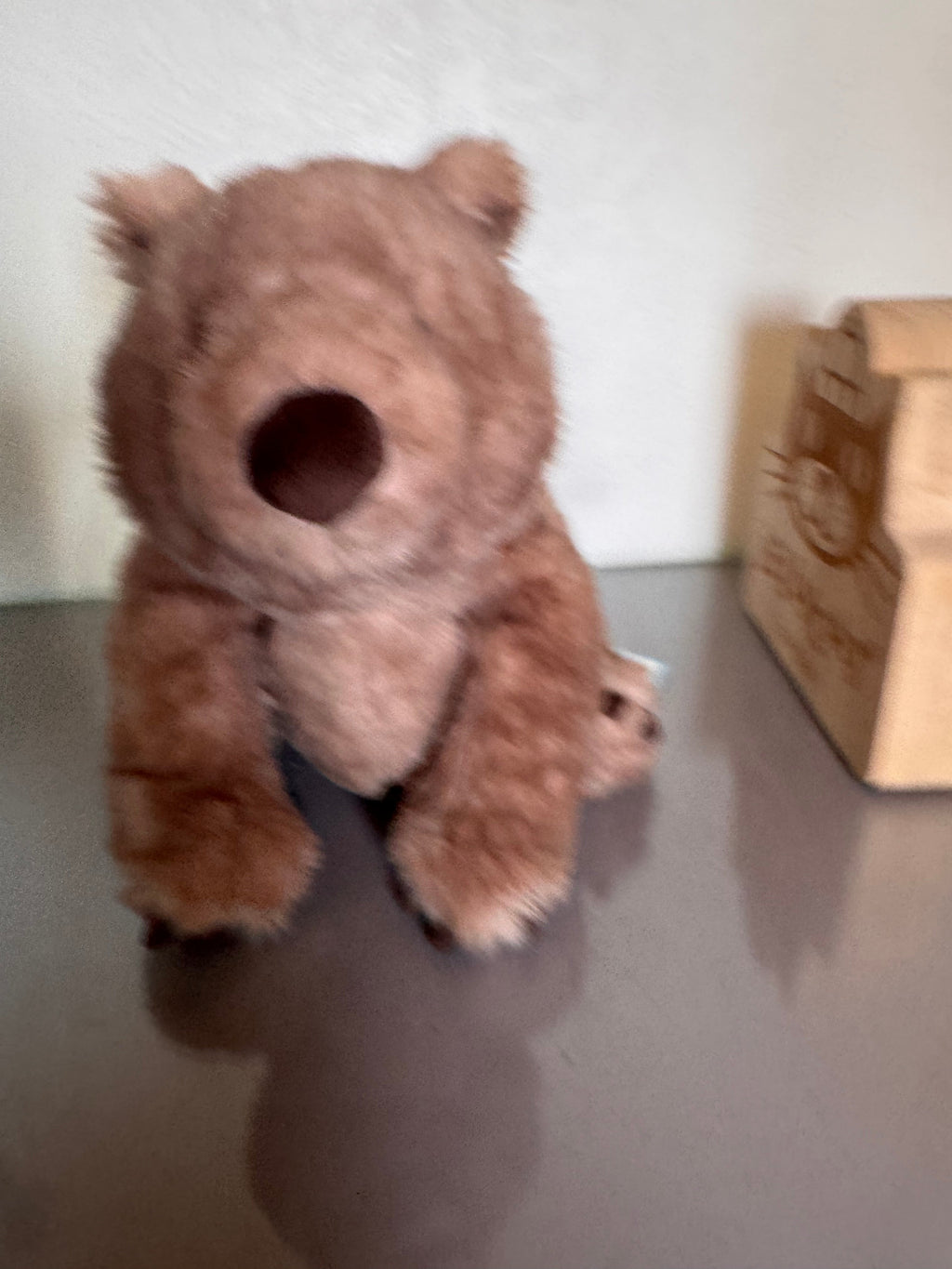 Wonda Wombat