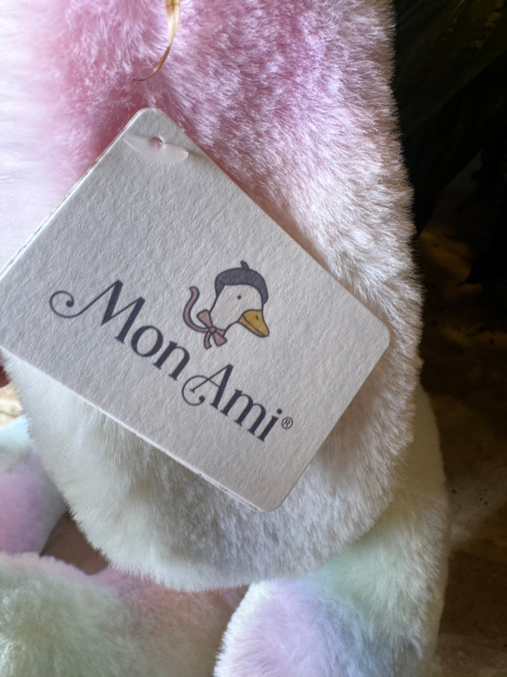 Mon Ami | Rainbow Bunny