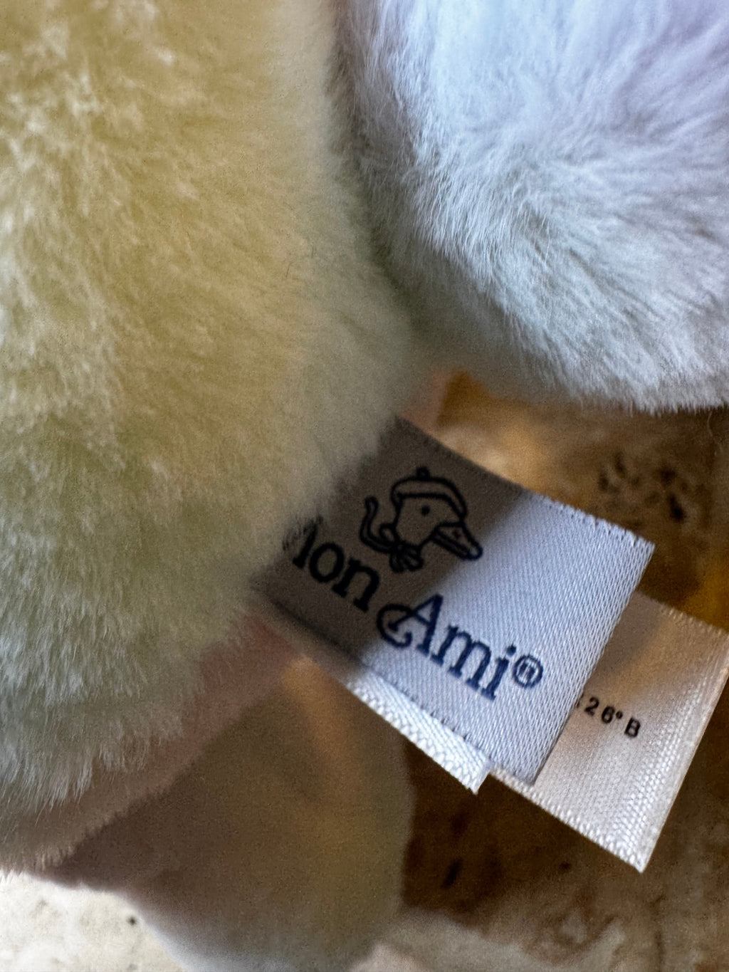Mon Ami | Rainbow Bunny