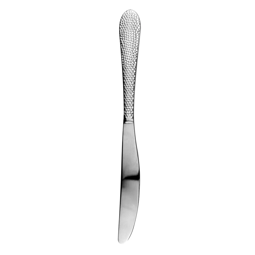 40 Piece Stainless Steel Silverware Set for 8