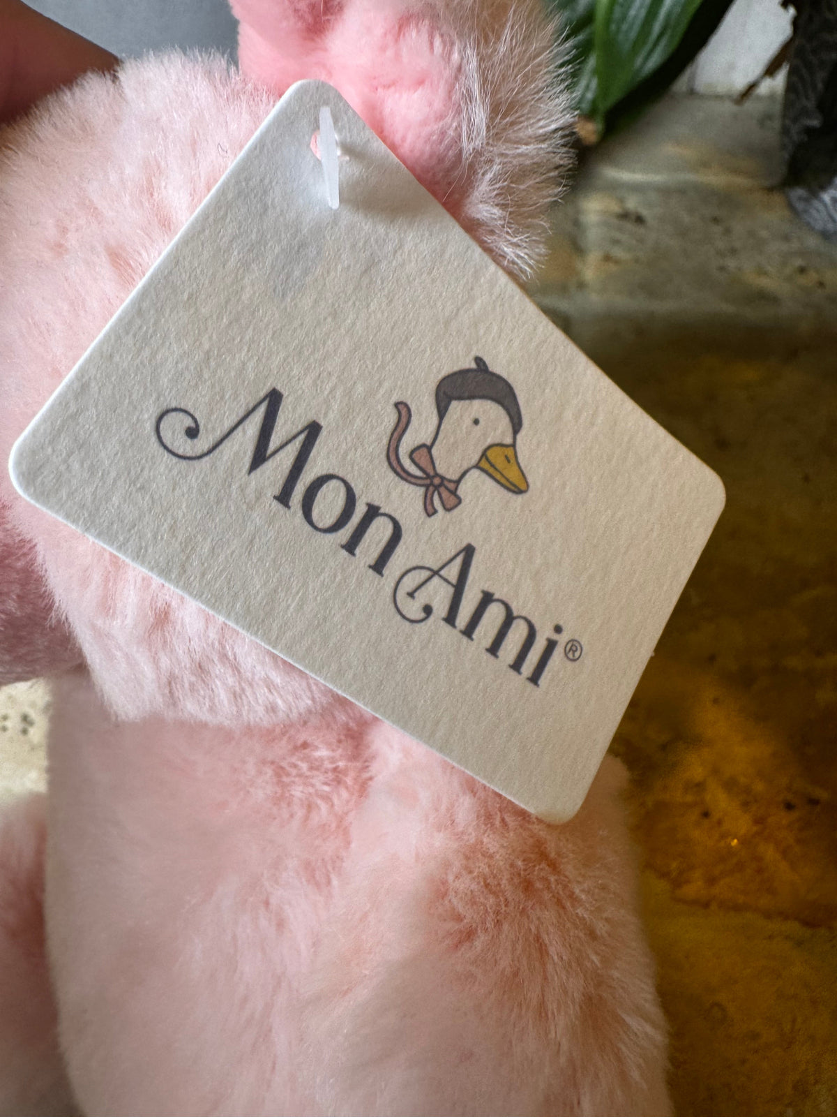 Mon Ami | Penelope Petit Pig
