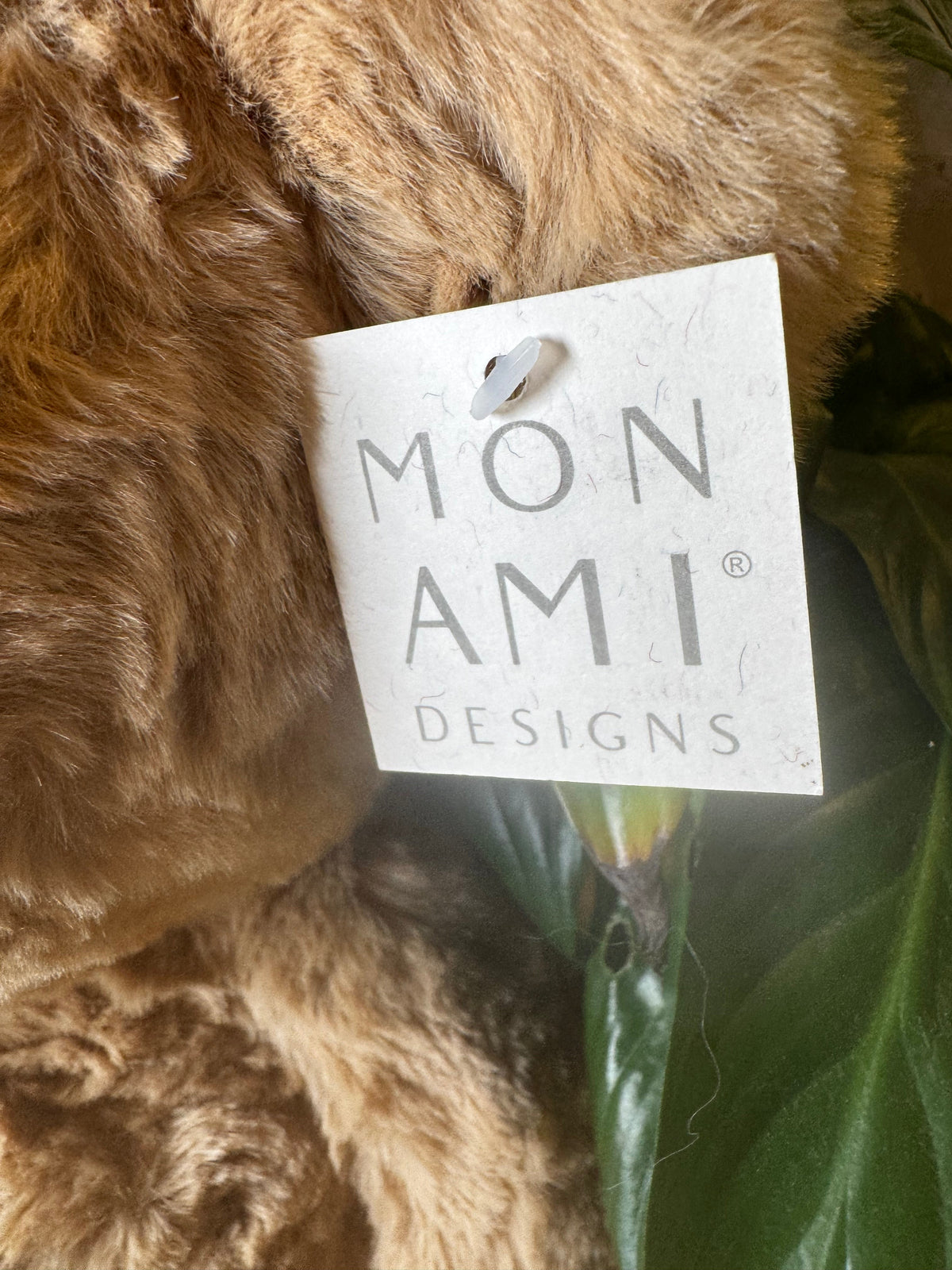 Mon Ami | Huggie Bear | Large