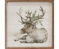 Kendrick Home Reindeer With Pine Whitewash