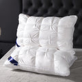 Pillows 2 Pack Queen King Size – Luxury Hotel Quality Deep Sleep Neck Support Pillow High Fluffiness Soft Breathable Fabric All Season Bed Pillow Set