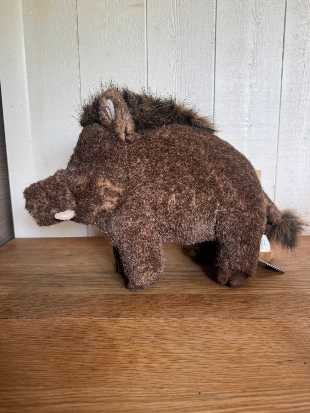Jellycat Zsazsa Boar | Jellyfest Berlin Exclusive