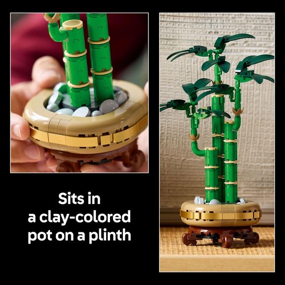 LEGO Botanicals 10344 Lucky Bamboo Building Set
