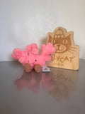 Jellycat Amuseable Coral