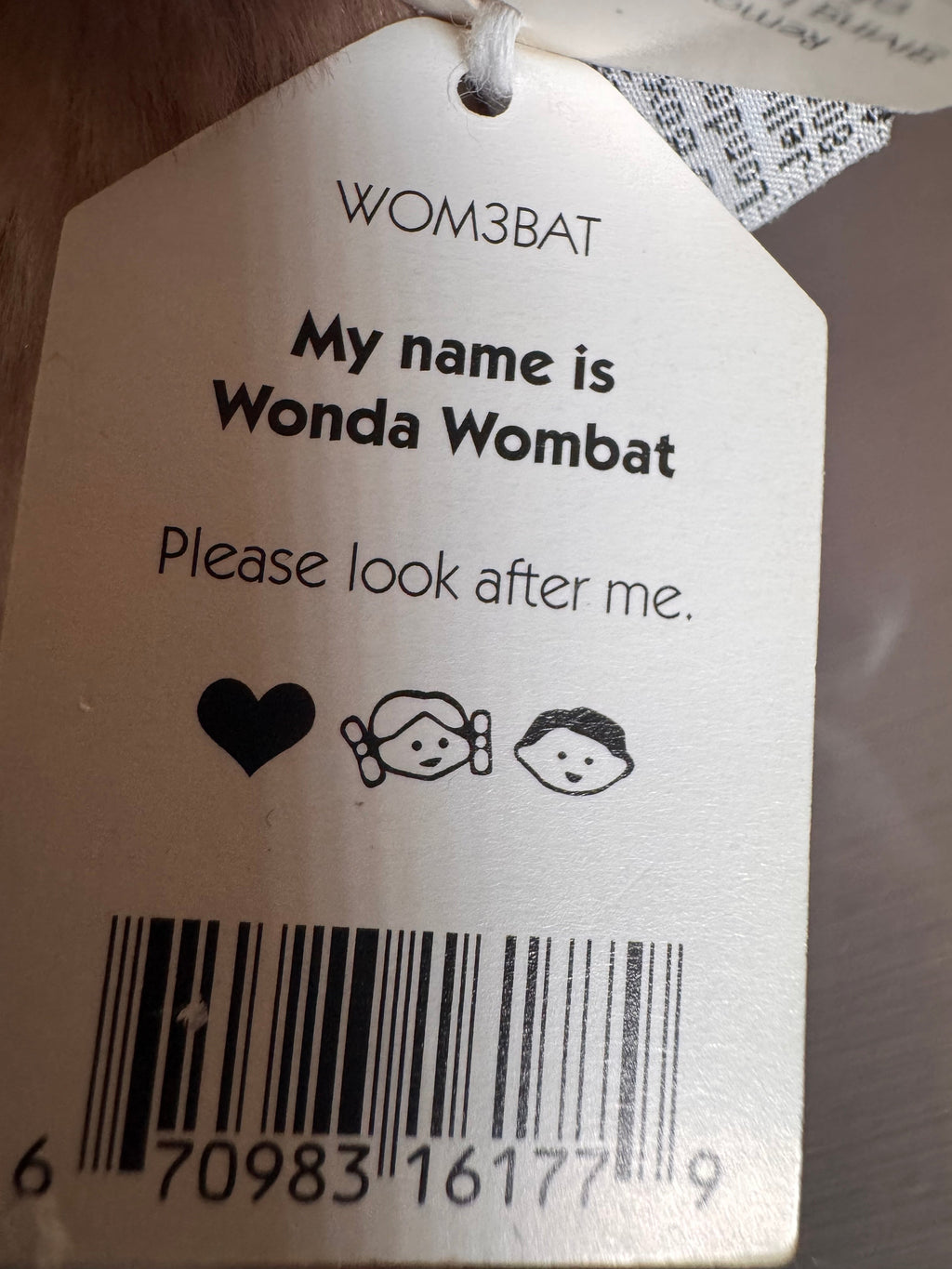 Wonda Wombat