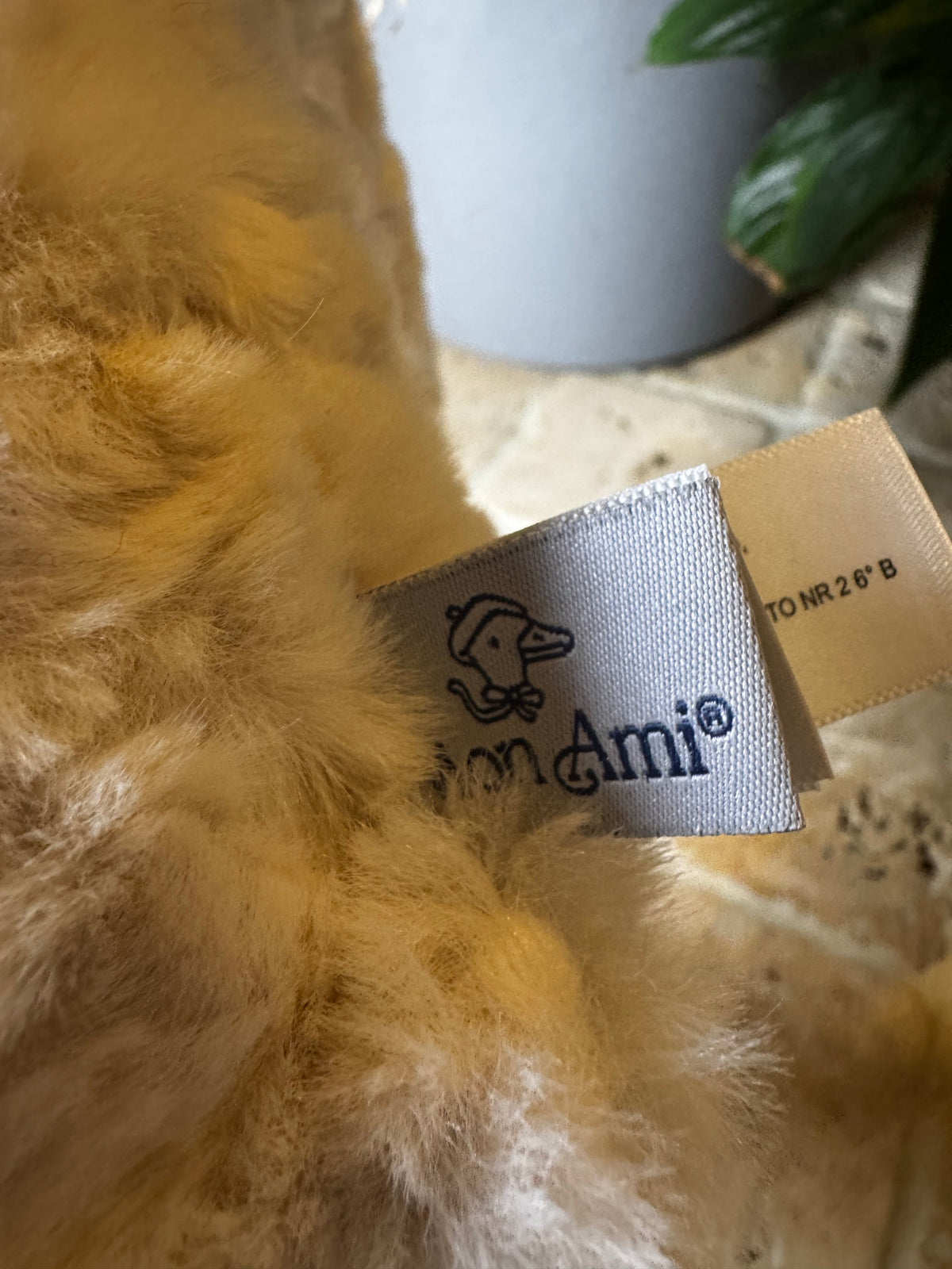 Mon Ami | Faith Bunny