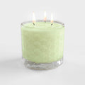 Aloe & Cucumber - Courtside Essentials 3 Wick 13.5oz Soy Wax Candle