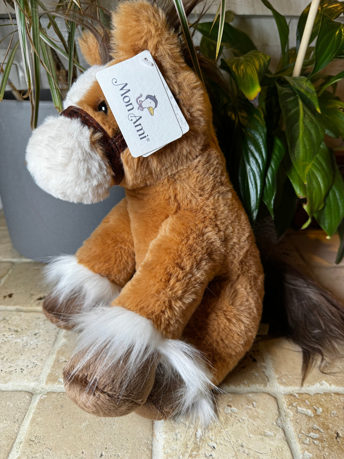 Mon Ami | Truffles Horse