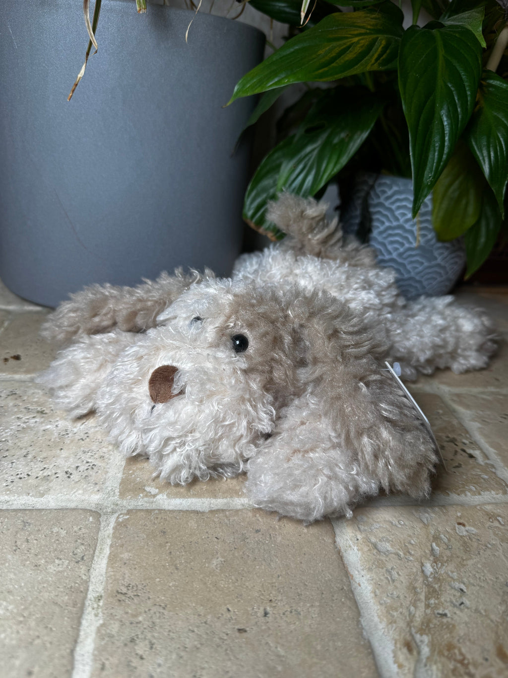 Mon Ami | Bogart Puppy