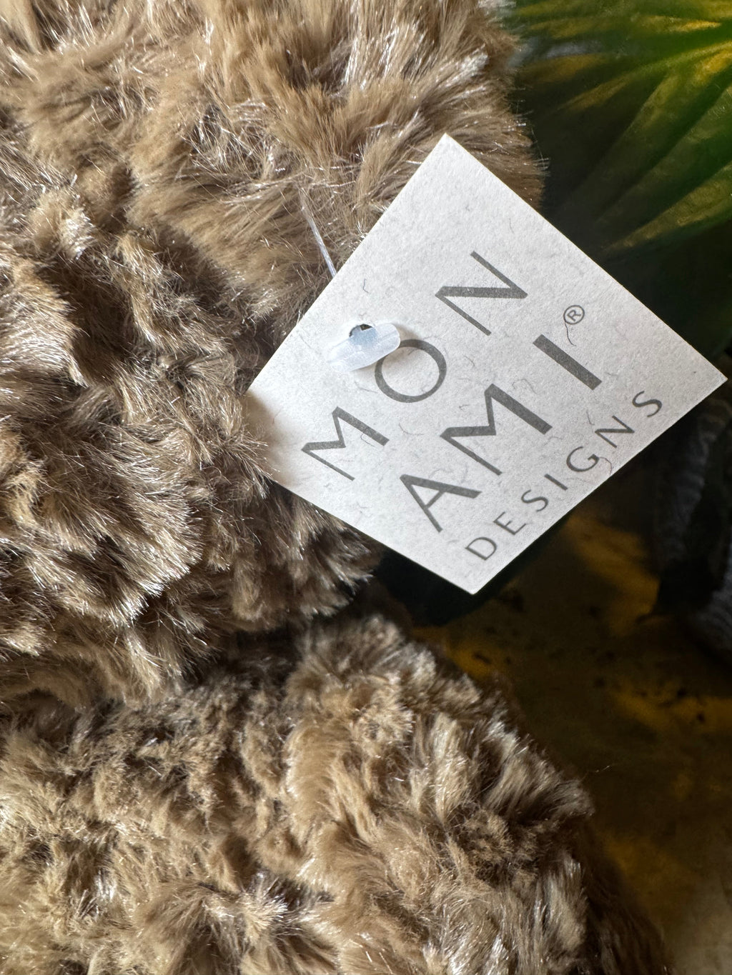 Mon Ami | Cocoa Bear