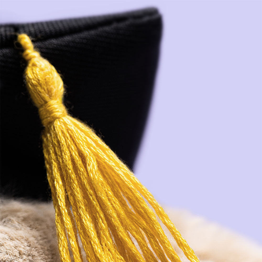 Bashful Bunny Graduation Outfit One Size JELLYCAT