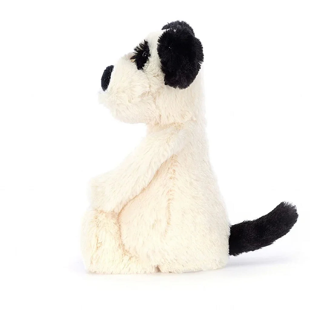 Bashful Black & Cream Puppy