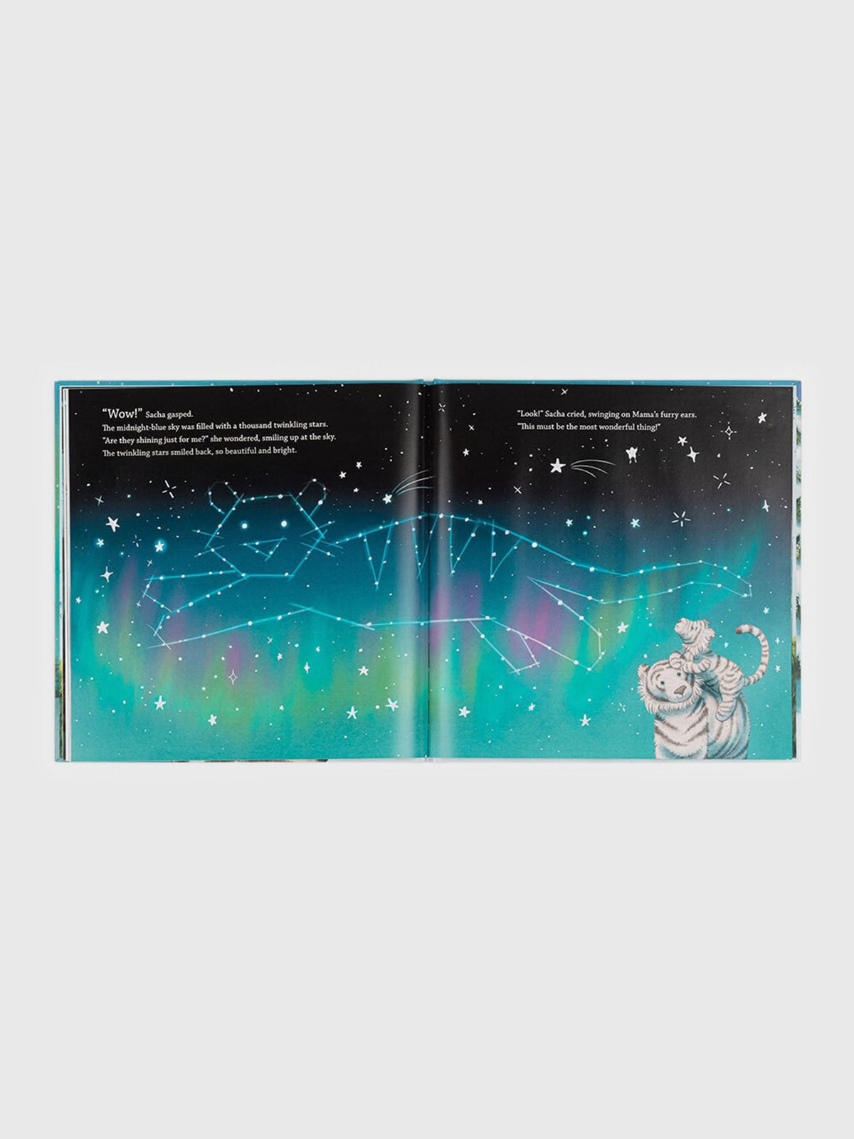 Jellycat Sacha And The Most Wonderful Thing Book