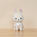 Bunni the Dwarf White Rabbit