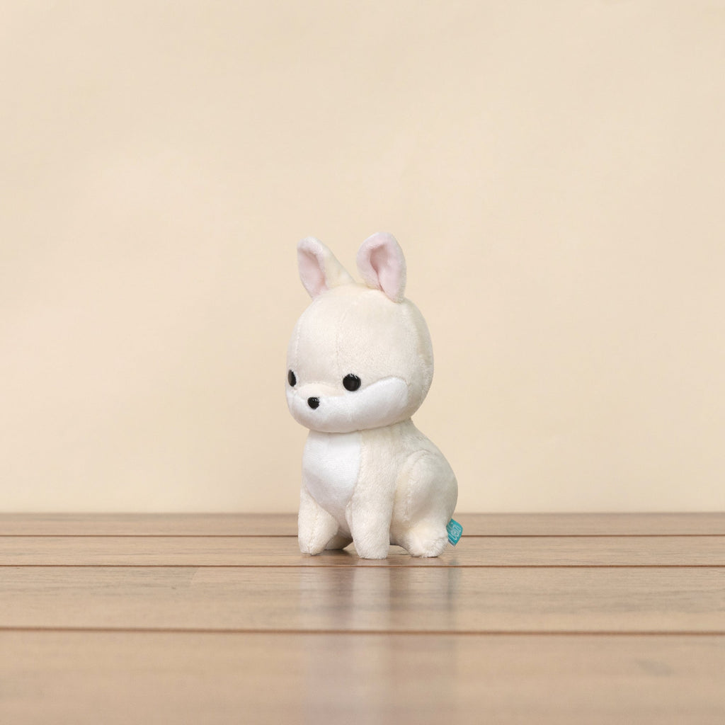 Mini Bunni the Dwarf Rabbit