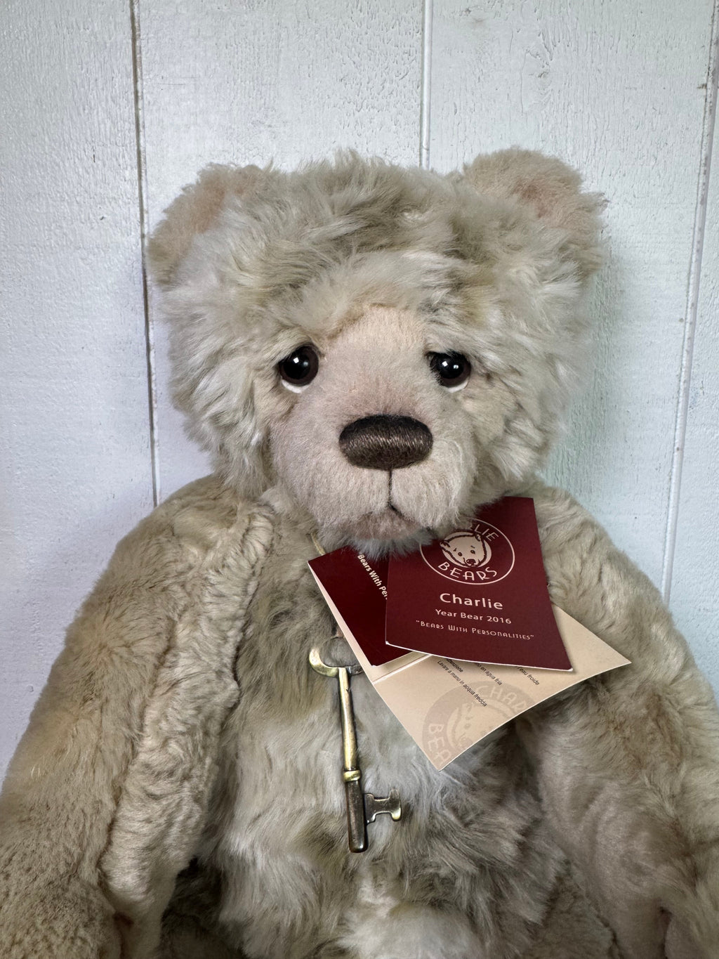 Charlie Bears | Charlie year bear 2016 CB161682