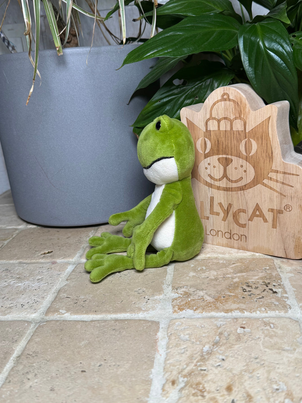 Jellycat Finnegan Frog