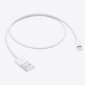 Apple - 3.3' USB Type A-to-Lightning Charging Cable - White