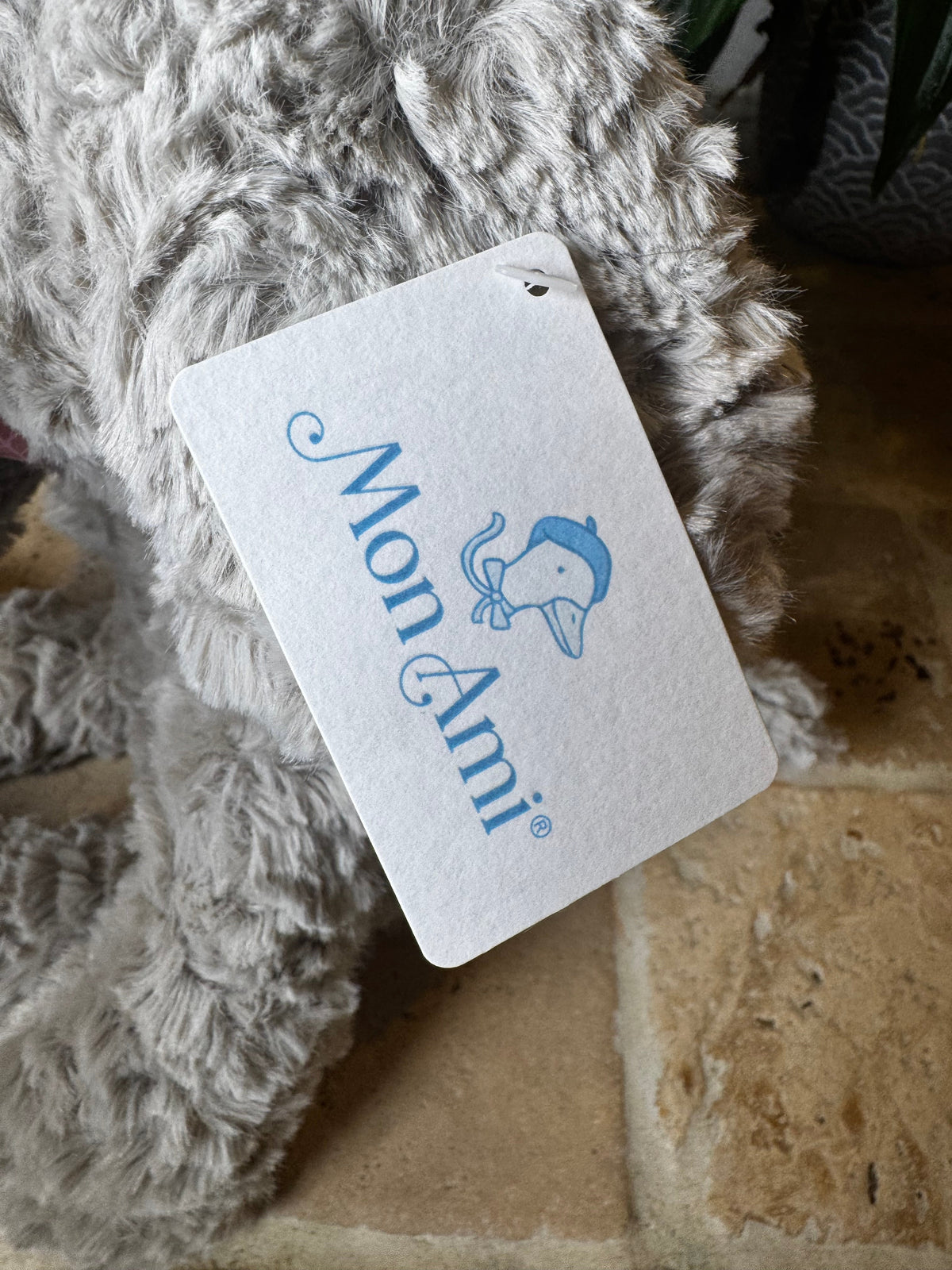 Mon Ami | Elephant
