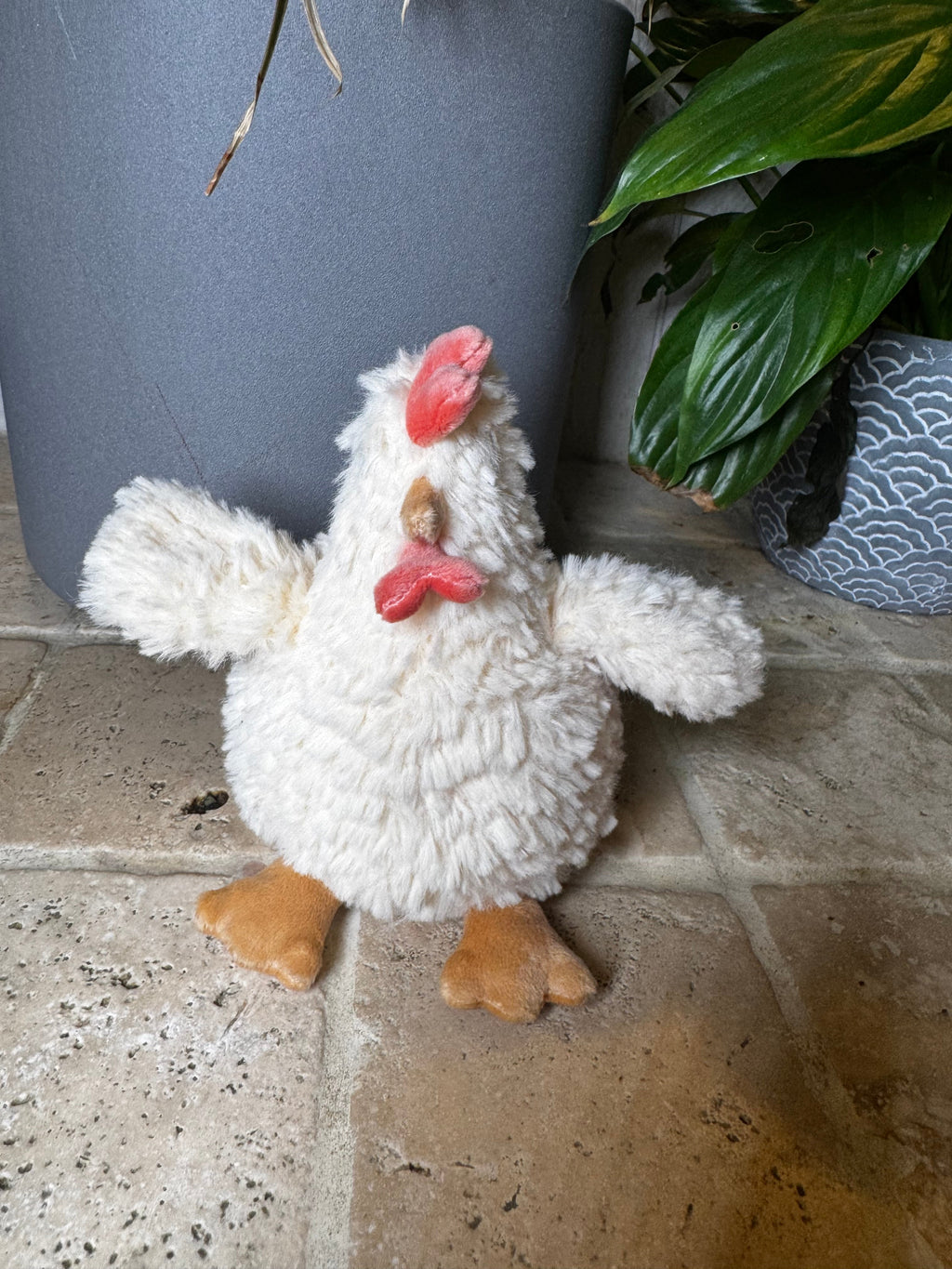 Mon Ami | Hazel Hen