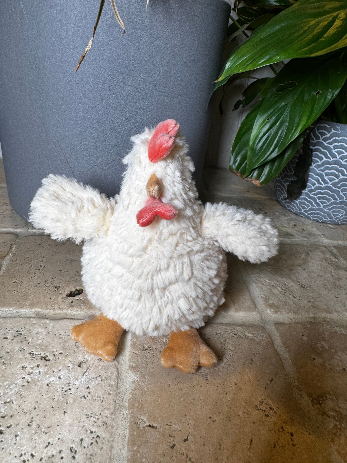 Mon Ami | Hazel Hen