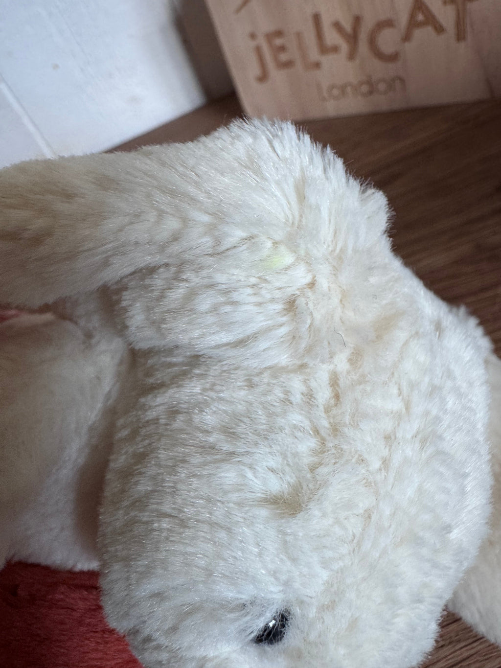 Jellycat Bunny Holding a Carrot