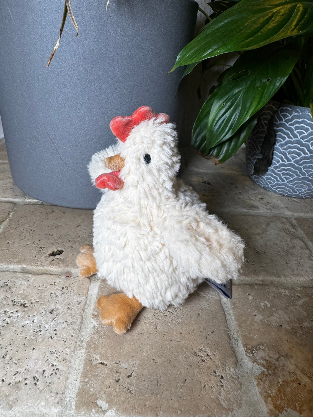 Mon Ami | Hazel Hen