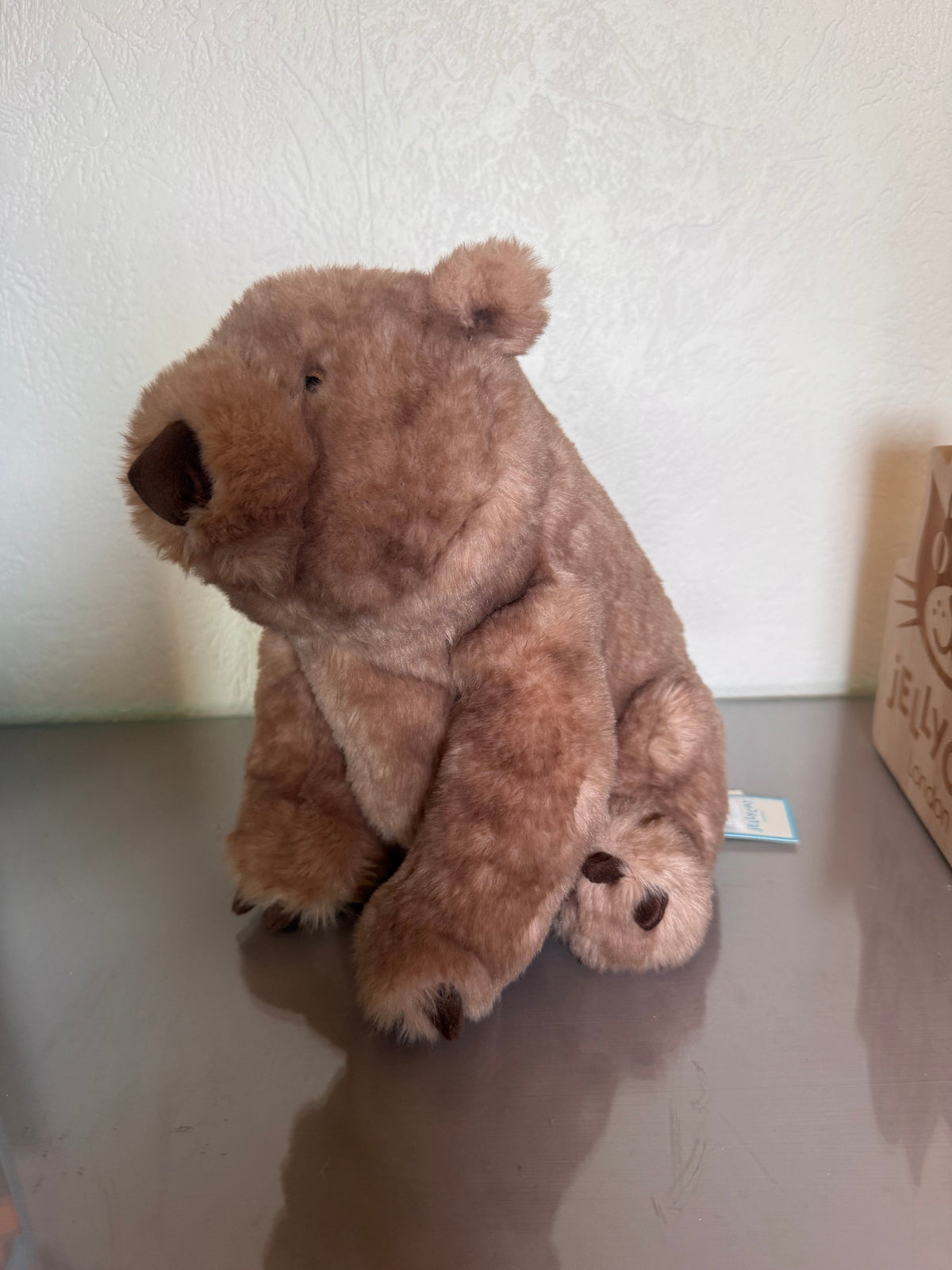 Wonda Wombat