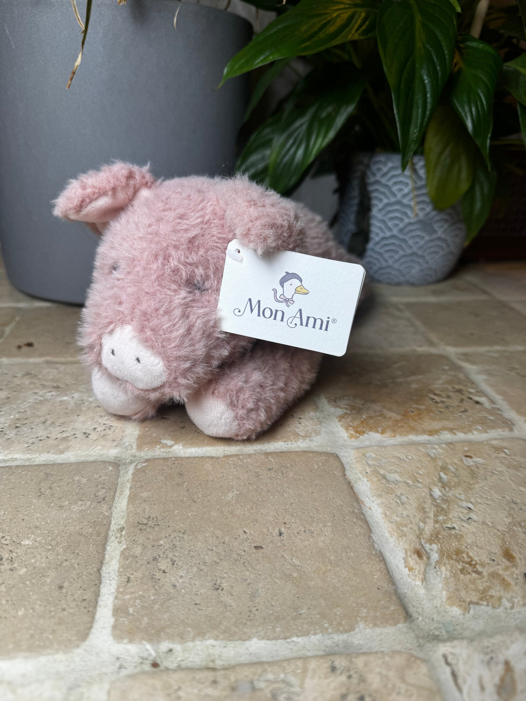 Mon Ami | Pixie Laying Pig