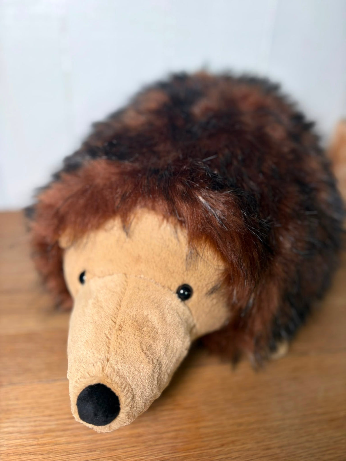 Jellycat Hamish Hedgehog