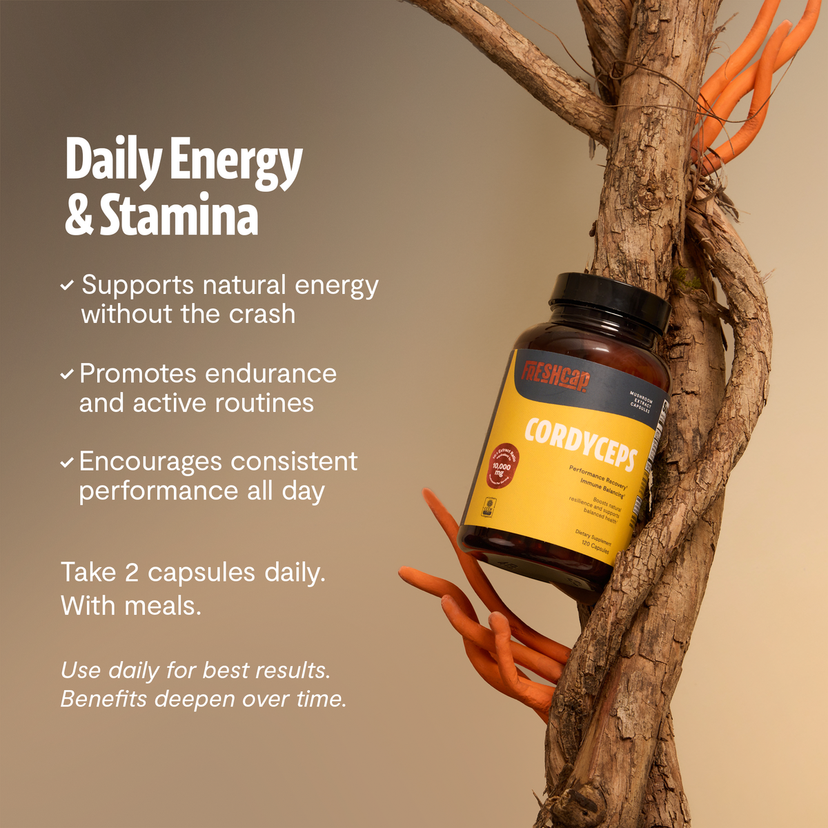 Organic Cordyceps Mushroom Supplement Capsules Daily Wellness Support