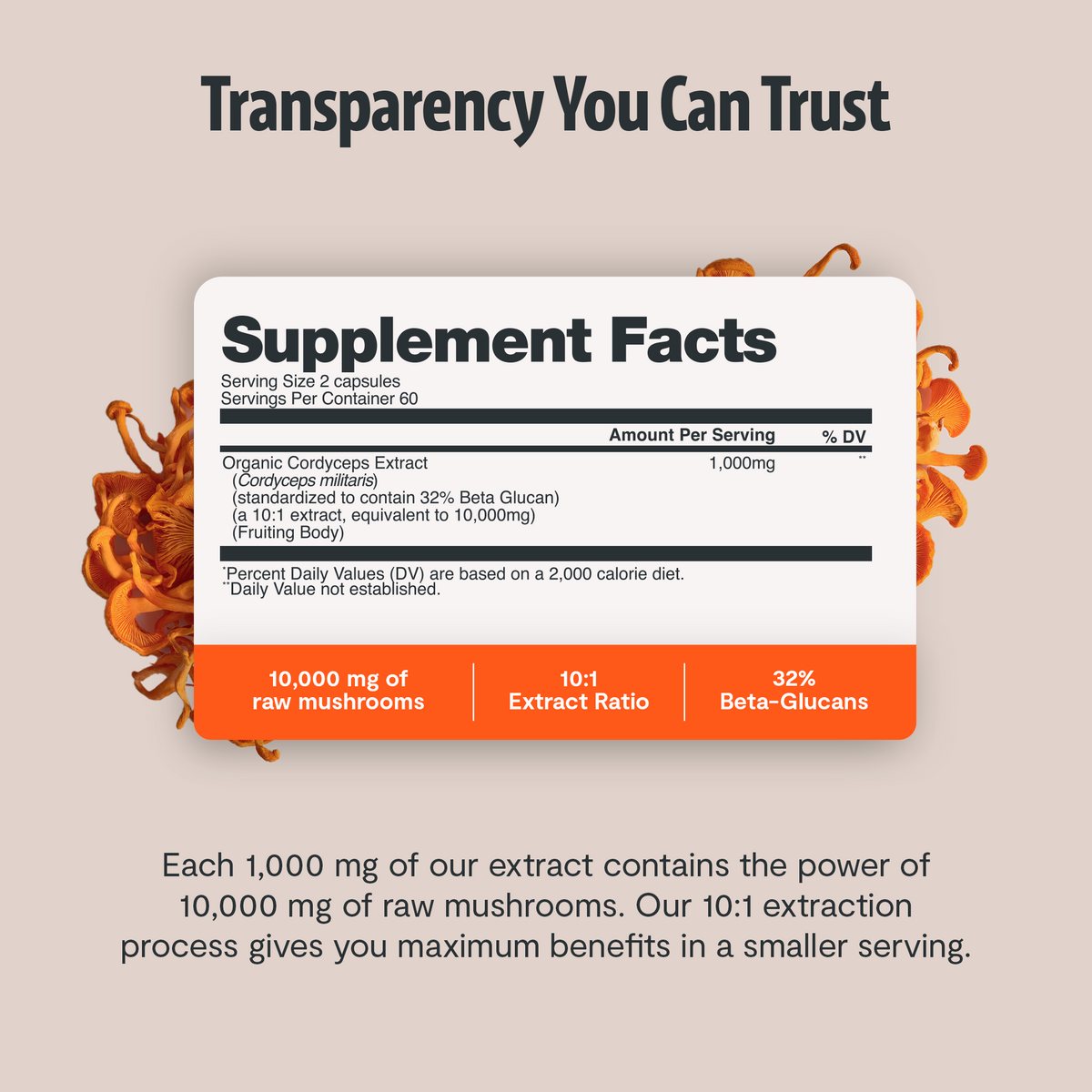 Organic Cordyceps Mushroom Supplement Capsules Daily Wellness Support