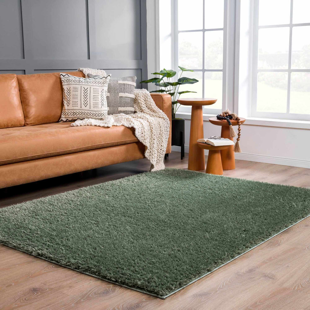 Faina Solid Green Shag Washable Area Rug - Clearance