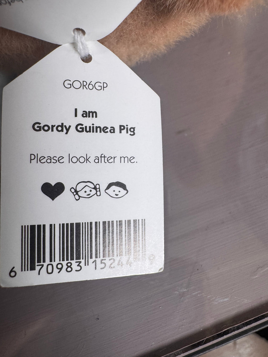 Jellycat Gordy Guinea Pig