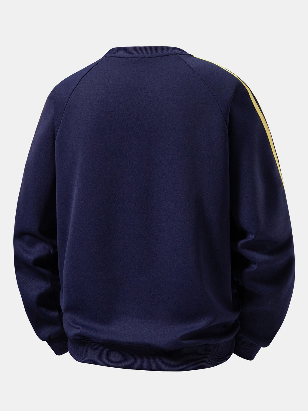 Cassette Tape Print Contrast Stripe Raglan Sweatshirt