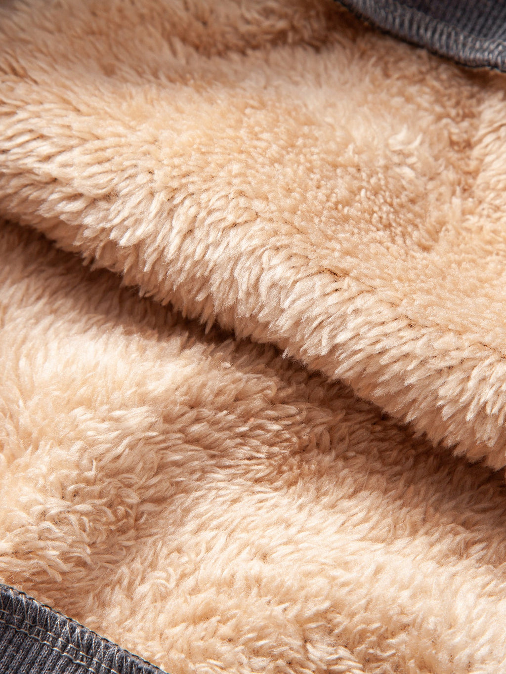 Teddy Fleece Lined Sweatshirt